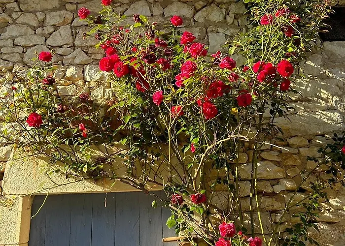 La Dromoise Du Lot Frühstückspension Saint-Sozy